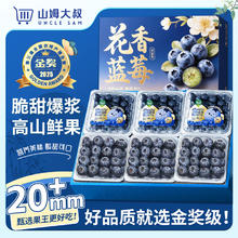 限移动端、京东百亿补贴：山姆大叔 云南L25花香蓝莓蓝莓水果礼盒中秋 特级果（单果16-18mm） 100-125g/盒