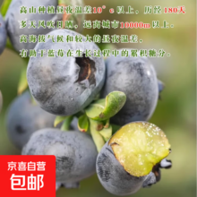 京喜加 国产云南蓝莓 JD快递 花香蓝莓15mm+ 70g+ 2盒装