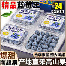 春福乐 云南花香蓝莓 L25 4盒装 超大果 单果20mm 100-125g/盒
