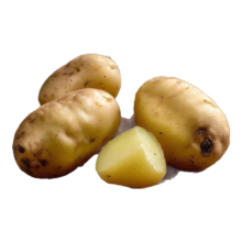 需拼购：山东新鲜现挖黄心土豆 农家马铃薯 2斤带箱 小果即食