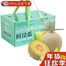 MPPMCK 海南 冰淇淋 玫珑网纹瓜 甜瓜 4.5斤装 2-3个