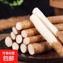 河北农家特产 糯香小白嘴山药 铁杆淮山药 250g（15-25cm）