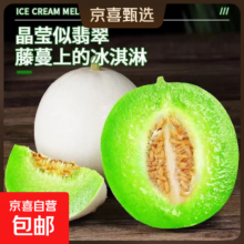 玉菇 甜瓜 水果冰淇淋甜瓜 软糯香甜 薄皮 整箱 3-4斤（1-2个装）