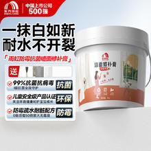 国家补贴：东方雨虹 墙面修补膏 白色 5KG