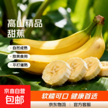 京喜加 广西高山现摘青皮香蕉 带箱8斤净重7.5斤