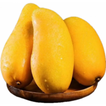 壹萌 金煌芒芒果 5斤精品果 单果200g+ 净4.5斤