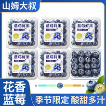山姆大叔 云南花香蓝莓王 7A级 125g*4盒 净400g 单果15-18mm