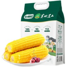 七稻町 黄糯玉米 东北甜糯玉米棒 3支尝鲜装 约260g*3支 非转基因 有机认证