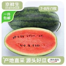 京鲜生 黑美人西瓜 1粒装 净重7-8斤 水果源头直发