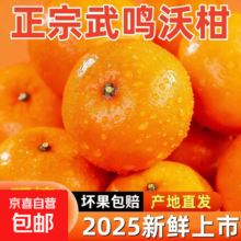 广西武鸣老树沃柑 当季水果 皮薄香甜 带箱9斤（55+）