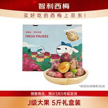限移动端、京东百亿补贴：京鲜生 智利进口西梅J级 5斤礼盒装 单果重20g起