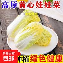 加 云南高山生态种植 新鲜现摘娃娃菜3颗装*1包