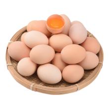 鲜鸡蛋 山林自养 溏心蛋 卤蛋 早餐 10枚装 400g±5g