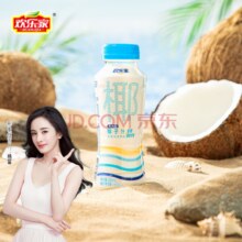 欢乐家 低糖果肉型椰子汁 250ml*15瓶