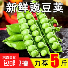 东东买菜 带壳鲜豌豆 青豆荚 净重2斤