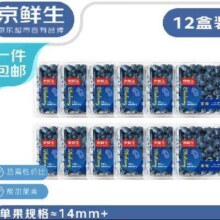 京鲜生 云南蓝莓 12盒中果14mm+ 净重125g/盒 *2件