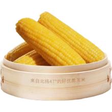 东北黄甜糯玉米棒 10支 真空包装 净重2.2kg 头茬黄玉米