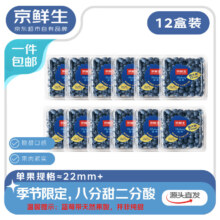 京鲜生 云南蓝莓 12盒 超大果22mm+ 125g/盒 源头直发