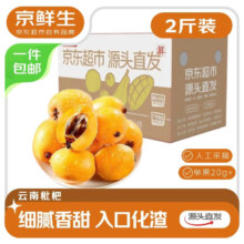 京鲜生 云南蒙自枇杷 2斤装 单果20g+ 新鲜水果 源头直发包邮