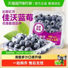 88VIP会员：佳沃 云南蓝莓 L25 18mm+ 500g