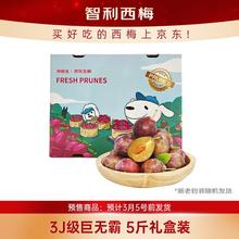 限移动端、京东百亿补贴：京鲜生 智利进口西梅 3J 级巨无霸 5 斤礼盒装