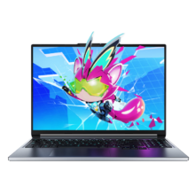PLUS：机械革命 极光X 潮玩版 i7-14650HX RTX5060 16G 1T 300Hz 游戏本 灰色