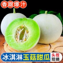 季节集冰淇淋玉菇甜瓜  净重4.5-5斤丨2-3个