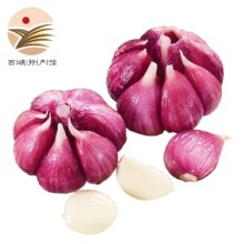 静益乐源 云南农家紫皮湿大蒜 蒜头 5斤中果装