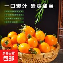 再降价:黄金玲珑圣女果 5斤（净重4.5斤）