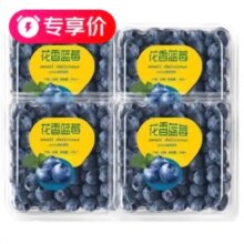 闽域寻鲜 云南花香蓝莓 15mm+ 100g/盒 4盒装