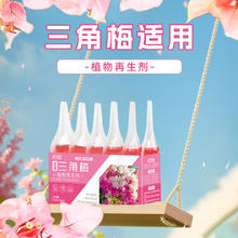 仙花四季 植物再生剂 三角梅再生剂18g*1支 试用装