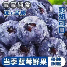 再降价：春福乐 云南高山花香蓝莓 头茬鲜果 特大果 单果20mm+ 2盒净重200g