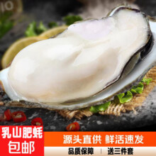 乳山生蚝 鲜活牡蛎 海蛎带壳贝类 6X大蚝王 5斤装约6-9只