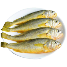 简鲜 东海冷冻小黄花鱼 海鲜水产 1000g*2袋装 冰衣保鲜