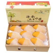 庾丰 金煌芒果 当季现摘 5斤装 净重4.5斤 单果300g-400g+