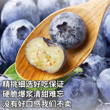 旭霁 云南花香蓝莓 精选大果 约15mm+ 6盒装单盒约100-125g