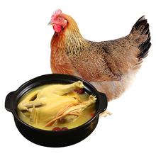 温润 食品 液氮清远脆皮老母鸡2.4斤 500天以上生态散养原种清远老母鸡 土鸡