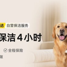 4小时日常保洁·养宠版 不含擦窗