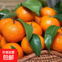 广西砂糖橘 薄皮爆甜 带箱5斤