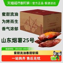 繁花似锦 山东 烟薯25号番薯 1.5kg/2.25kg/2.5kg/3斤