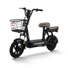 立马 小糖心2.0 电动自行车 48V 智能APP 油光黑 后座可带人