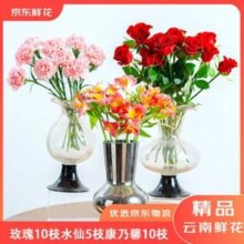 某东鲜花 玫瑰10枝+康乃馨10支+水仙5枝 共25枝