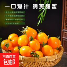 再降价:黄金玲珑圣女果 5斤（净重4.5斤）