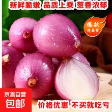 山东新鲜紫红皮小洋葱即食超市生鲜小葱头蔬菜生鲜 1斤精品小洋葱净重0.8斤