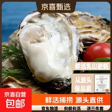 乳山生蚝 鲜活牡蛎 海蛎带壳贝类 4X大个 5斤装约9-13只
