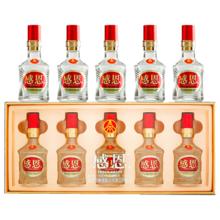 五粮液 股份出品 感恩小金条 52度 浓香型白酒 100mL*5瓶 礼盒宴请送礼