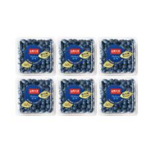 山姆大叔 金奖蓝莓 云南花香蓝莓礼盒 单果15-18mm 净400g 4盒
