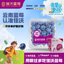 佳沃 云南蓝莓 14mm+ 125g/盒 12盒