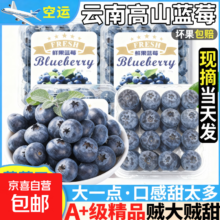 云南花香 蓝莓 现摘高山蓝莓 125g/盒（净100g） 单果18-20mm 4盒装