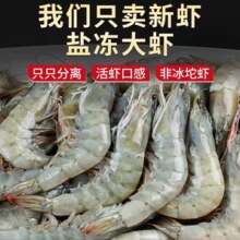 鲜活船冻！官方国货甄选 青岛大虾 16-18cm 20/30规格 净重3斤